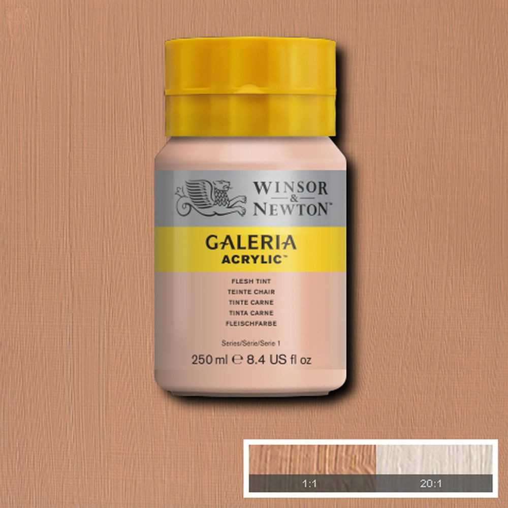 Tinta Acrílica Winsor & Newton Galeria 250ml 257 Flesh Tint - Imagem 2